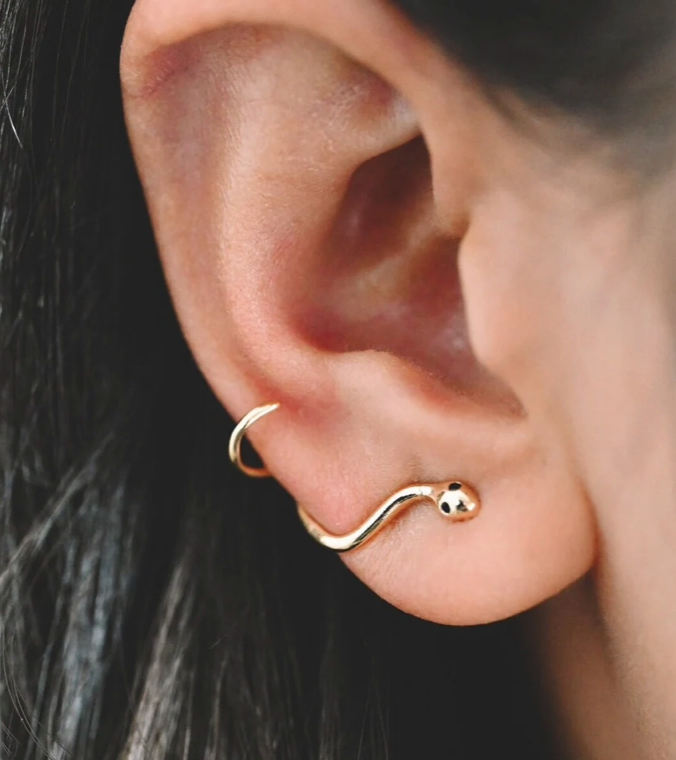 Snake Climber Earrings