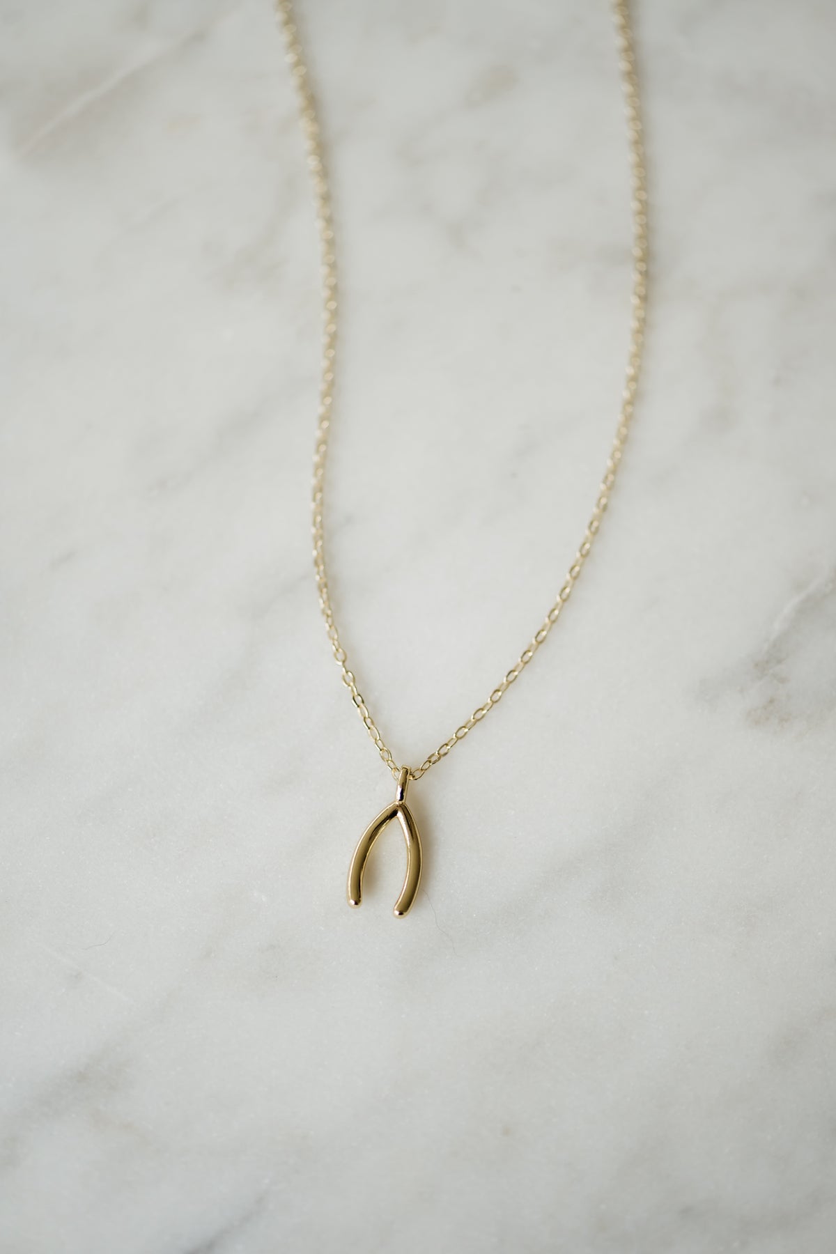 Wishbone Necklace
